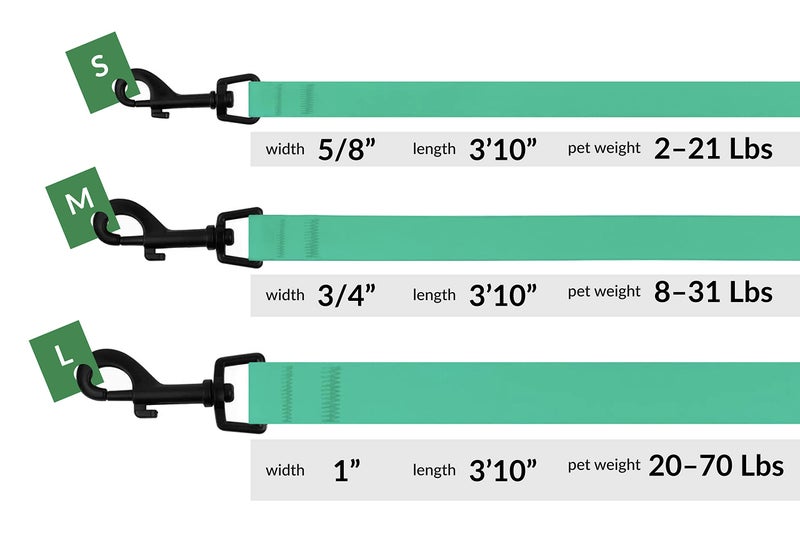 CollarDirect Waterproof Dog Leash Small Medium Large Durable Pet Leashes for Walking Training Running Pink Black Blue Orange Green (S, Mint Green) - Image 3